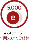 e JALポイント 年間5,000円分積算